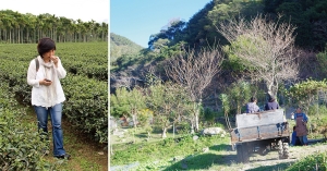 植物系的大未來 | 為什麼我會鼓勵孩子讀農食相關科系？從荷蘭的農食業談起