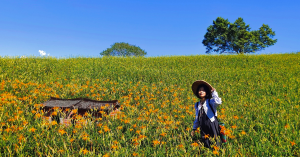 花蓮玉里・一年一會的夏秋赤科山小行旅