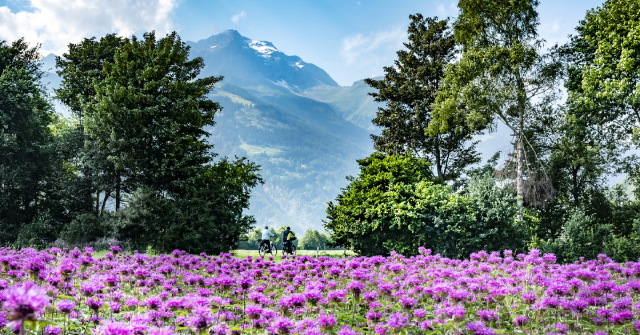 【永續旅遊】瑞士波斯基亞沃谷｜100% Valposchiavo：百分百在地漫遊及有機農產饗宴，實踐永續循環的最佳旅遊聚落