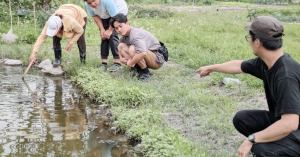 【產地食材研究會：貓公部落野菜文化節】季節曆Ｘ綠餐主廚Ｘ食材地景，來一場從田野到餐桌的人類學之旅