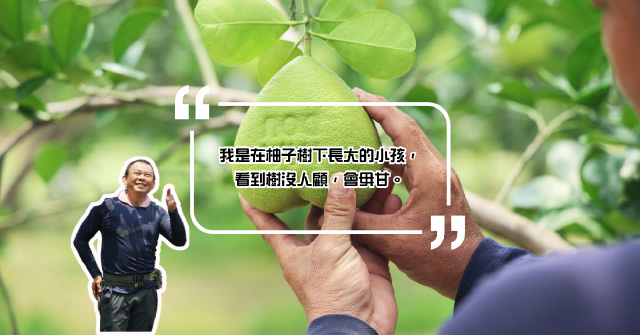 【鮮味物語】浪子回頭的柚農：轉生麻豆文旦栽植新典範