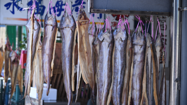 【台灣地酒山海經04】海味台灣地酒 把漁港、鰹魚、鰻魚乾、淡菜、潮間帶的氣味封瓶